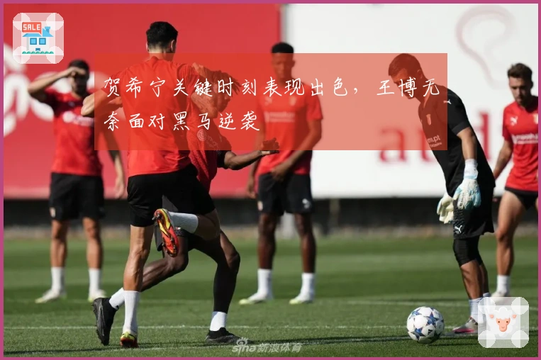 贺希宁关键时刻表现出色，王博无奈面对黑马逆袭